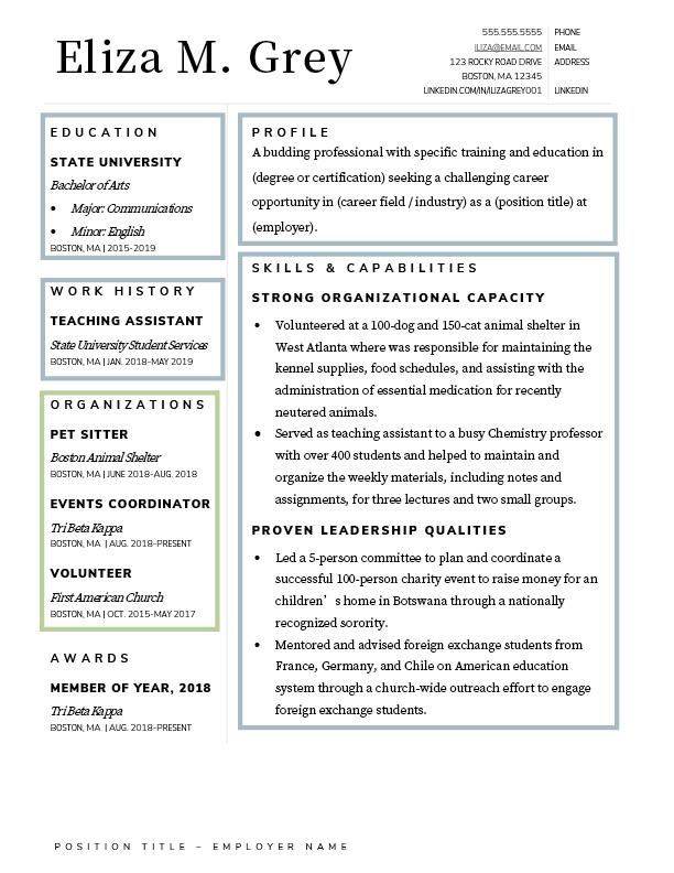 Skill Focused Cv Example Skills Focused Resume Template - prntbl.concejomunicipaldechinu.gov.co